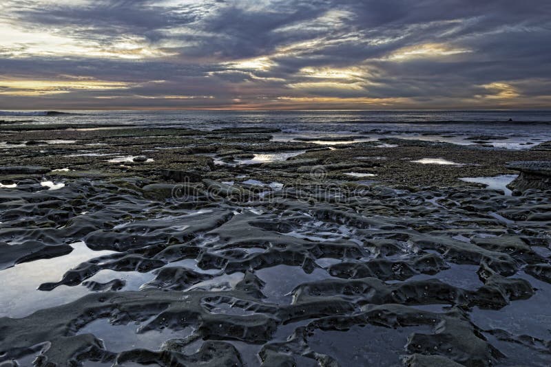 tidal pools la jolla san diego tidal pools la jolla san diego