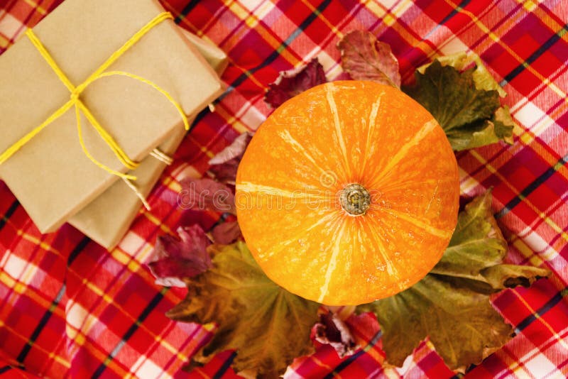 Potiron avec les feuilles colorées sèches, les boîte-cadeau enveloppés du papier de métier et les rubans jaunes sur une serviette images libres de droits Potiron avec les feuilles colorées sèches, les boîte-cadeau enveloppés du papier de métier et les rubans jaunes sur une serviette images libres de droits