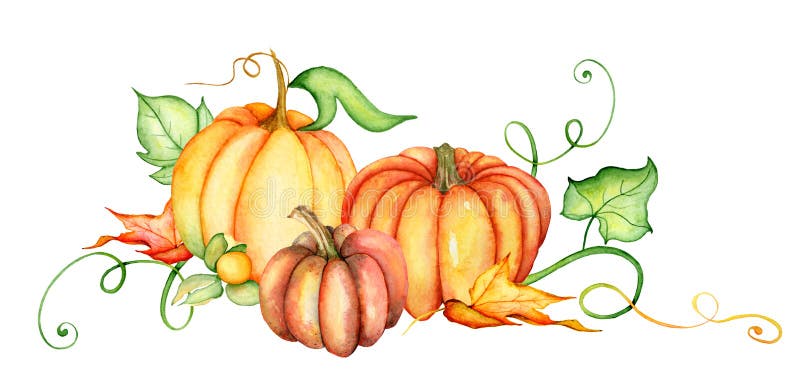 Potiron d'aquarelle et feuilles d'automne Composition en récolte Jour heureux d'action de grâces Illustration tirée par la main illustration de vecteur
