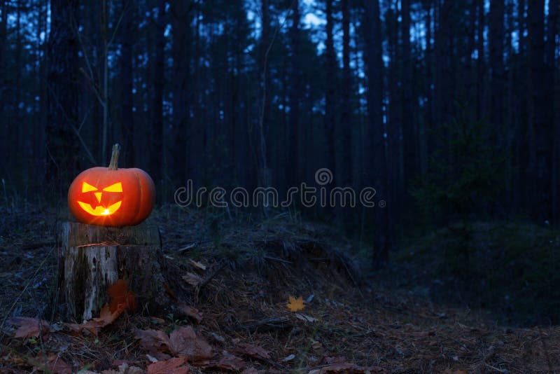 Potiron de Halloween dans la forêt de nuit photo stock Potiron de Halloween dans la forêt de nuit photo stock