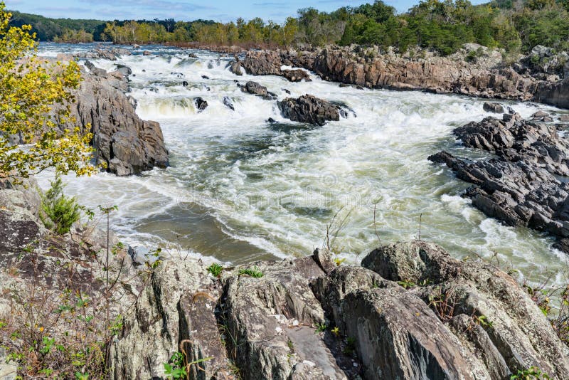 Great Falls On Potomac River In Virginia USA Stock Photo Image of
