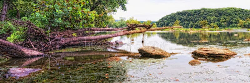 Potomac River panorama stock image