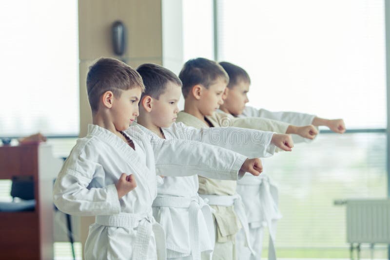Potomstwa, piękni, pomyślni wielo- etyczni dzieciaki w karate positi, obraz stock Potomstwa, piękni, pomyślni wielo- etyczni dzieciaki w karate positi, obraz stock