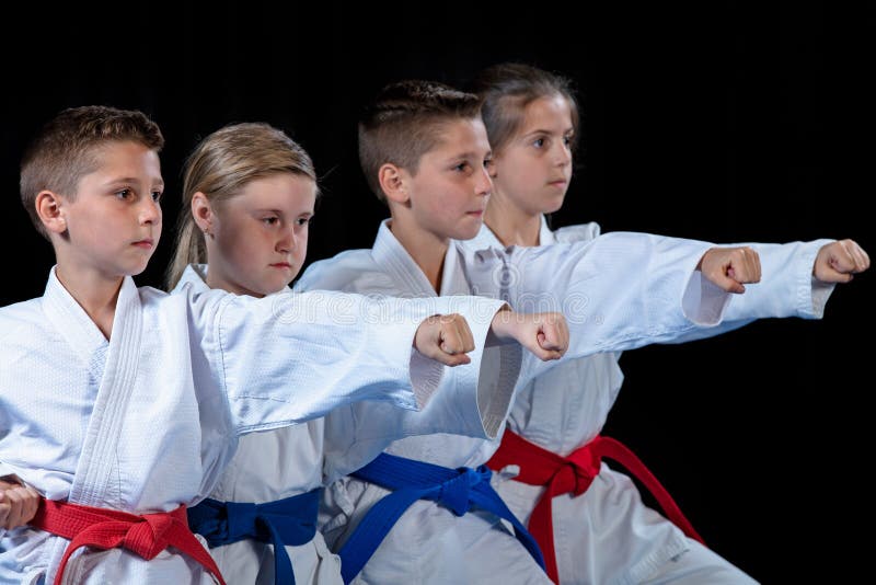 Potomstwa, piękni, pomyślni wielo- etyczni karate dzieciaki w karate pozyci, zdjęcie royalty free Potomstwa, piękni, pomyślni wielo- etyczni karate dzieciaki w karate pozyci, zdjęcie royalty free
