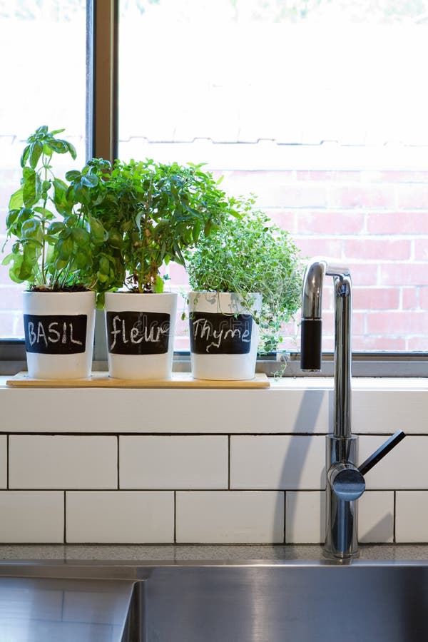 Pots d'herbes sur la verticale contemporaine de filon-couche de fenêtre de cuisine photographie stock libre de droits Pots d'herbes sur la verticale contemporaine de filon-couche de fenêtre de cuisine photographie stock libre de droits