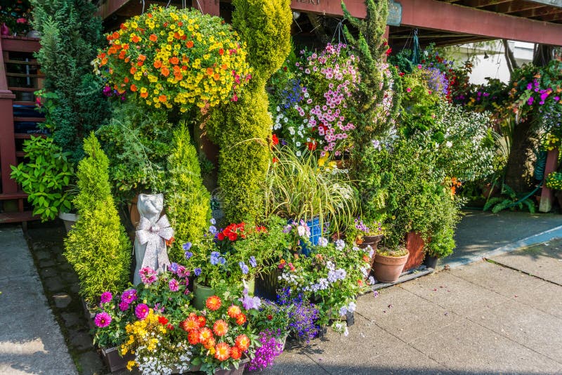 Potted Flowers Arrangement 3 Stock Image Image of color, flora 123579537