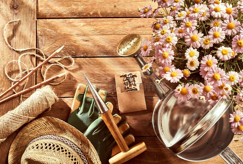 Potted pink daises, gardening tools and sunhat