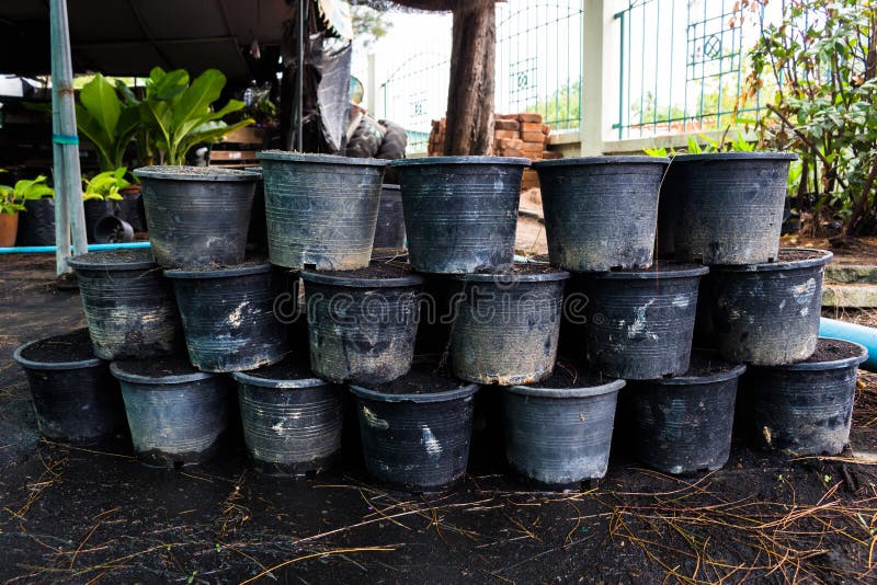 Potted planting trees stock image. Image of rural, nature 67128129