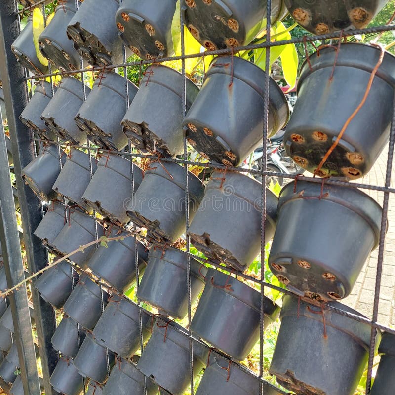 Potted Plants Hanging from an Iron Fence Stock Photo Image of hanging