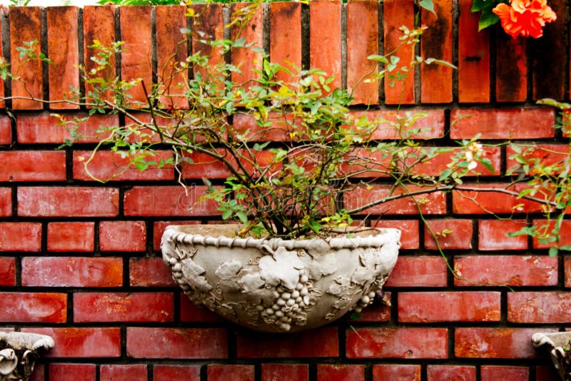 Potted plants on the wall.