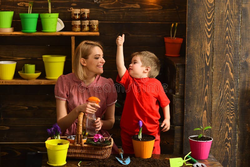Potting concept. Little child show thumbs up hand to woman in potting shed. Family plant flower in potting soil. Potting royalty free stock photos Potting concept. Little child show thumbs up hand to woman in potting shed. Family plant flower in potting soil. Potting royalty free stock photos