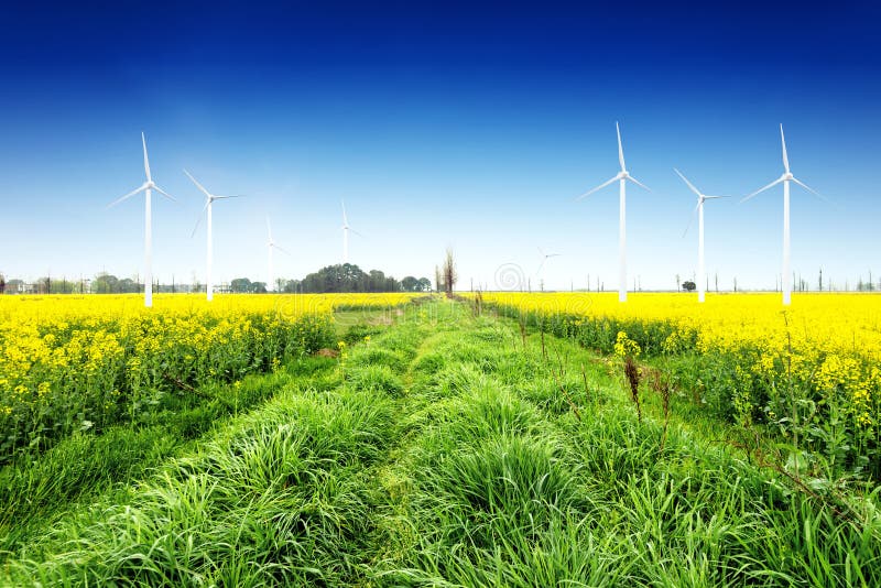 Potência de Eco, turbinas de vento imagem de stock
