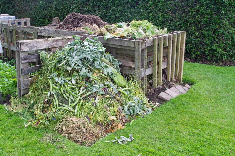 se ferme en haut main le compostage nourriture déchets dans arrière-cour  compost poubelle jardin, génératif ai 28534599 Photo de stock chez Vecteezy