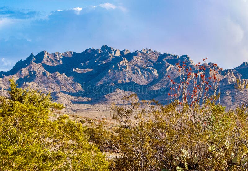 Featured image of post Imagens De Montanhas Floridas Empresa especializada em realizar seu sonho em roteiros de alta montanha trekkings escaladas