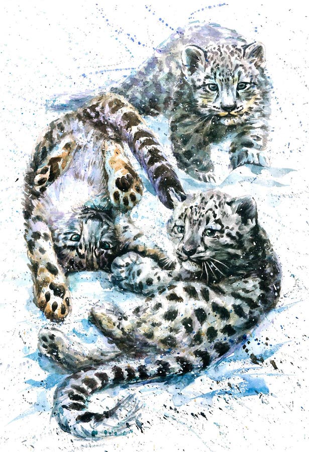 Pouco leopardo de neve ilustração do vetor Pouco leopardo de neve ilustração do vetor