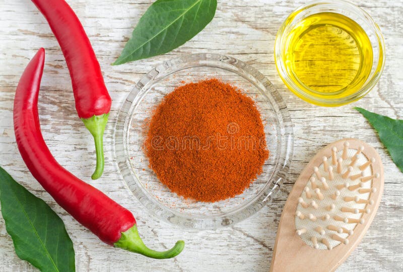 Poudre sèche de poivre de piment, huile d'olive et poivrons de piment rouge frais pour préparer le masque diy de cheveux contre l photo stock Poudre sèche de poivre de piment, huile d'olive et poivrons de piment rouge frais pour préparer le masque diy de cheveux contre l photo stock