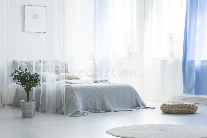 Pouf and plant near canopy bed in simple white and blue bedroom