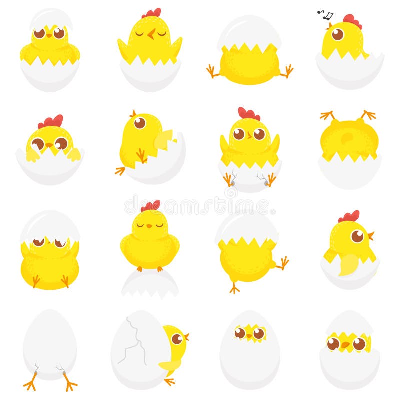 Poulet mignon en oeuf Poussin de bébé de Pâques, poulets nouveau-nés dans la coquille d'oeuf et vecteur de bande dessinée d'isole illustration stock Poulet mignon en oeuf Poussin de bébé de Pâques, poulets nouveau-nés dans la coquille d'oeuf et vecteur de bande dessinée d'isole illustration stock