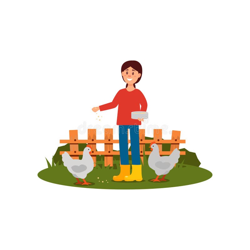 Poulets de alimentation de femme heureuse d'agriculteur Jeune fille dans le chandail, les jeans et des bottes en caoutchouc Barri illustration stock Poulets de alimentation de femme heureuse d'agriculteur Jeune fille dans le chandail, les jeans et des bottes en caoutchouc Barri illustration stock