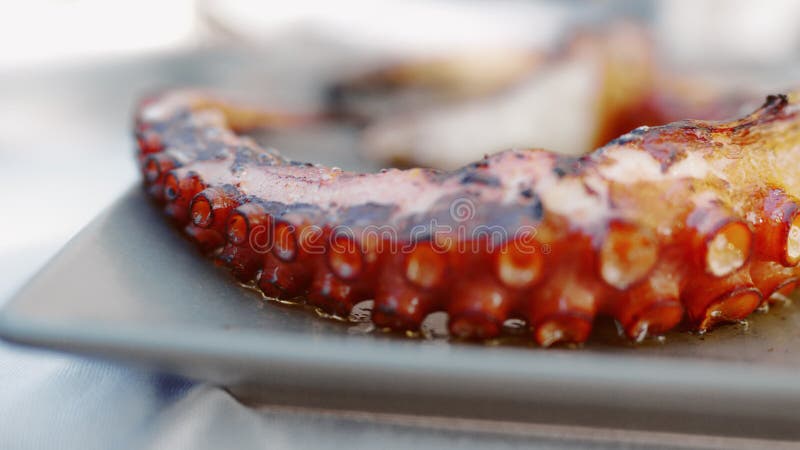 Poulpe grillé sur le plat