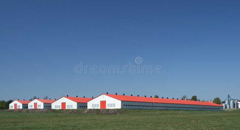 Poultry houses fixtures lay out hi-res stock photography and