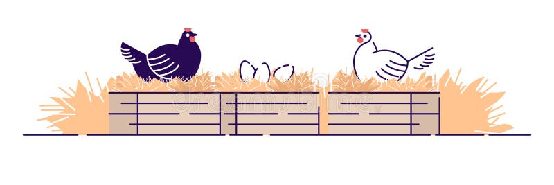 Poultry farming flat vector illustration. Organic animal agriculture, hennery. Chicken farm cartoon concept with outline