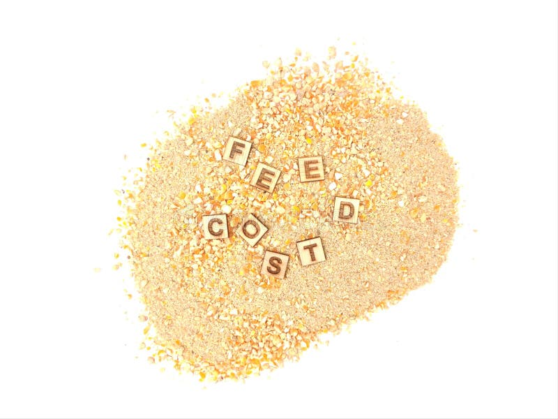 vitamins-price-increase-stock-photos-free-royalty-free-stock-photos