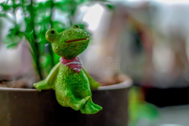 Bangkok,Thailand Febuary 2,2019 Frog dolls that are sold in Thailand. Bangkok,Thailand Febuary 2,2019 Frog dolls that are sold in Thailand.