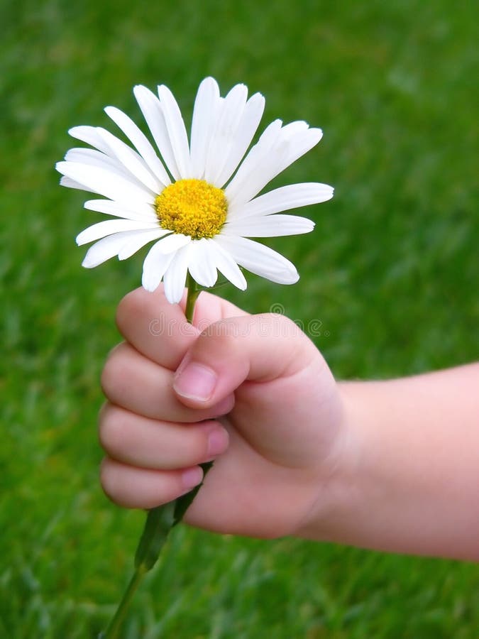 Pour vous photos libres de droits Pour vous photos libres de droits