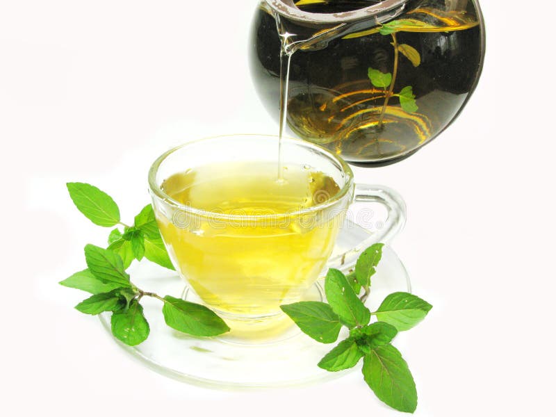 Pouring Herbal Tea With Mint Extract Picture. Image 16731650