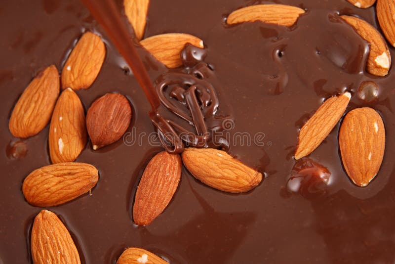 Hot Melted Chocolate and Almond Nuts Stock Image Image of cocoa