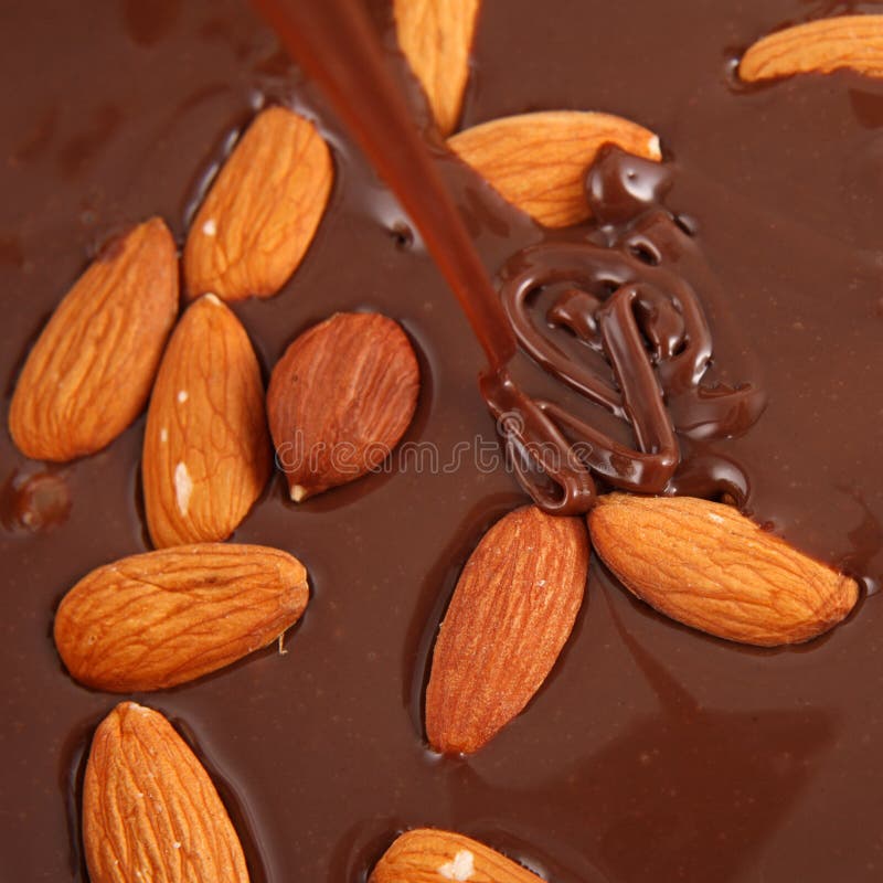 Hot Melted Chocolate and Almond Nuts Stock Photo Image of dessert