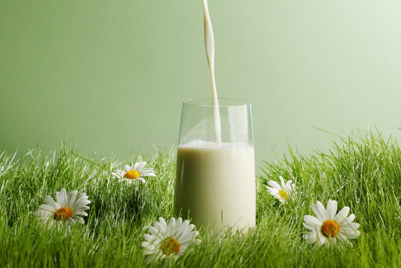 Pouring milk in a glass stock photo. Image of full, fresh 67741038