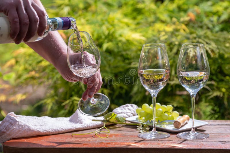 Pouring of Pinot gridgio rose wine for tasting on winery in Veneto, Italy. Glasses of cold dry wine served outdoor in sunny day royalty free stock photos