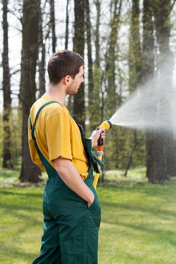 Pouring Water with Garden Hose Stock Image Image of agriculture
