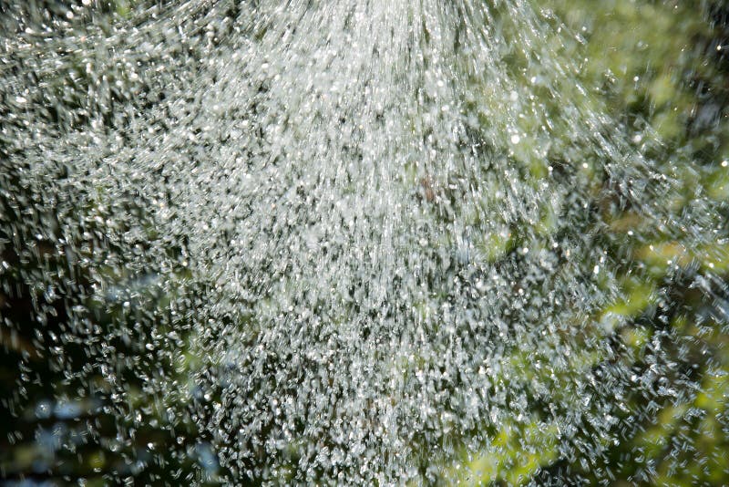 Pouring water. stock photo. Image of washing, botany 57836188