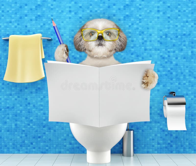 Poursuivez se reposer sur un siège des toilettes avec la magazine de lecture de problèmes ou de constipation de digestion ou le j illustration stock Poursuivez se reposer sur un siège des toilettes avec la magazine de lecture de problèmes ou de constipation de digestion ou le j illustration stock