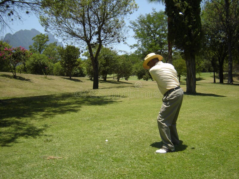 Pousse d'oscillation de golf photographie stock libre de droits Pousse d'oscillation de golf photographie stock libre de droits