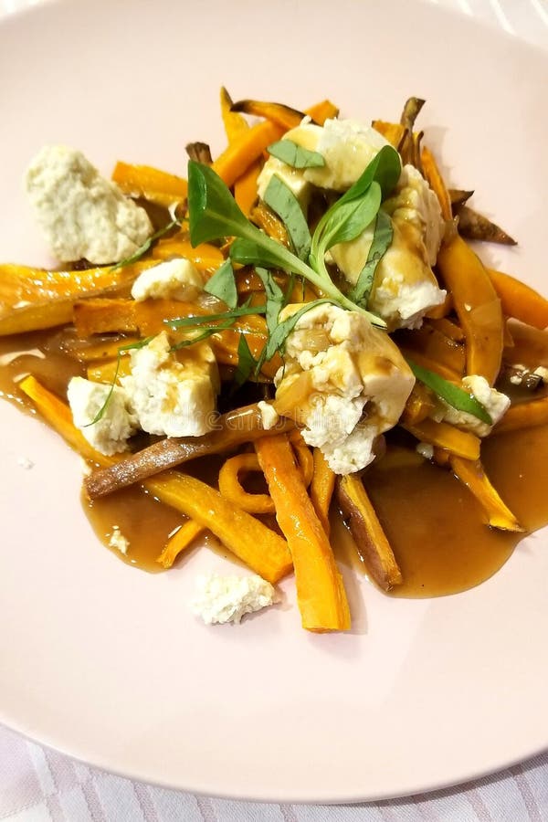 Poutine con el queso de soja imagen de archivo Poutine con el queso de soja imagen de archivo