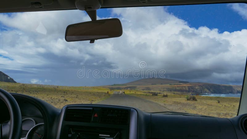 Pov Sitting In The Passenger Seat Of Suv And Waiting For A Horse To Pov Sitting In The Passenger Seat Of Suv And Waiting For A Horse To