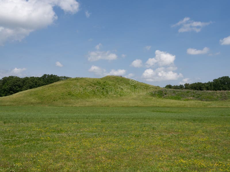 Poverty Point National Monument's Mound A Photographed in Summer with Wildflowers in Foreground