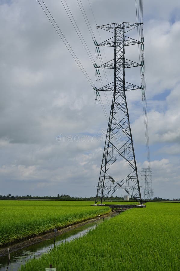 Power Grid in Paddy Field stock image. Image of malaysia 42803599