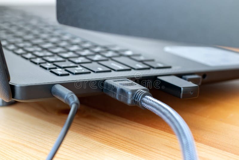 lightwave 3d dongle lightwave 3d dongle