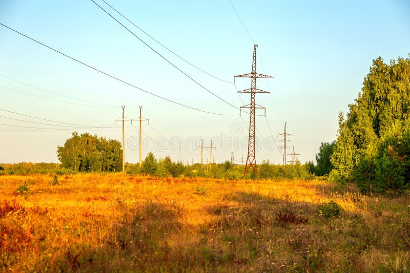 Power Line Passes through a Clearing in the Forest Stock Photo Image