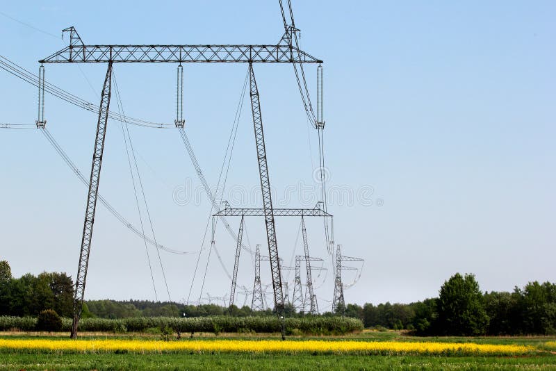 Power line pylons in yellow fields