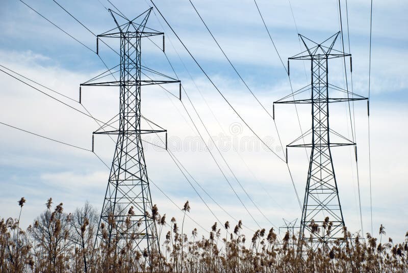 Power Line Towers and Bulrush