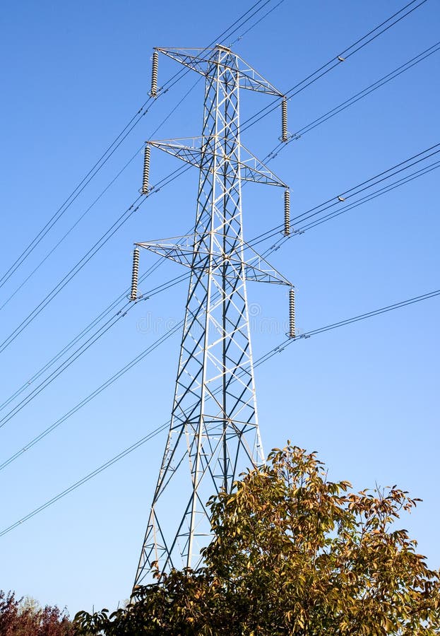 Power Lines Above the Trees Stock Photo Image of cable, generation