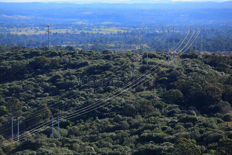 Power supply lines in Australian forest landscape aerial view