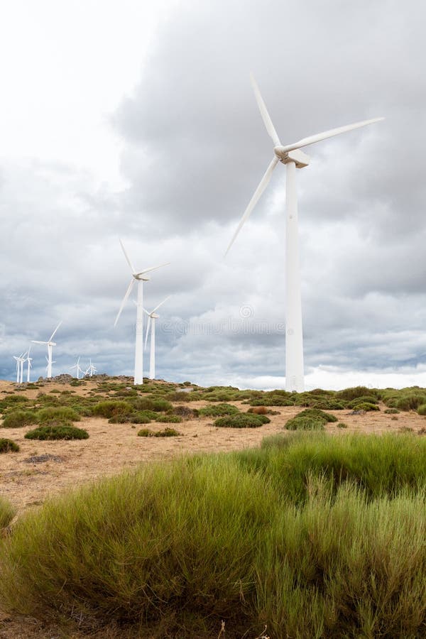 Power plant with wind turbines in open field background royalty free stock image