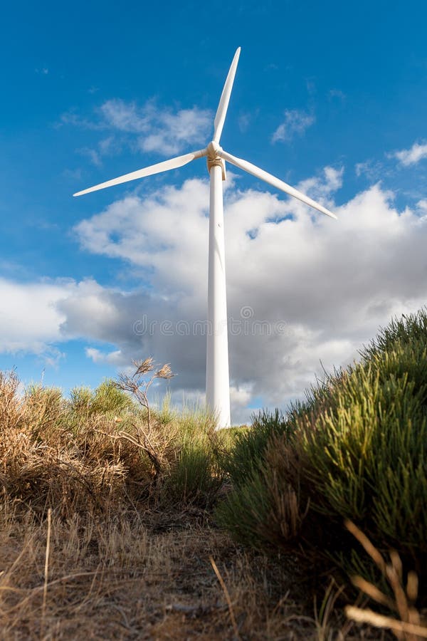 Power plant with wind turbines in open field background royalty free stock images
